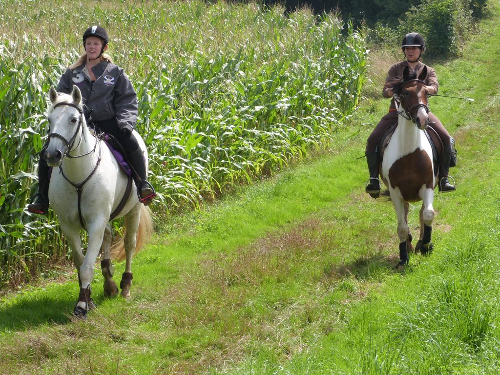 Gite Et Relais Equestre De Marie Tours-en-Vimeu Exteriör bild