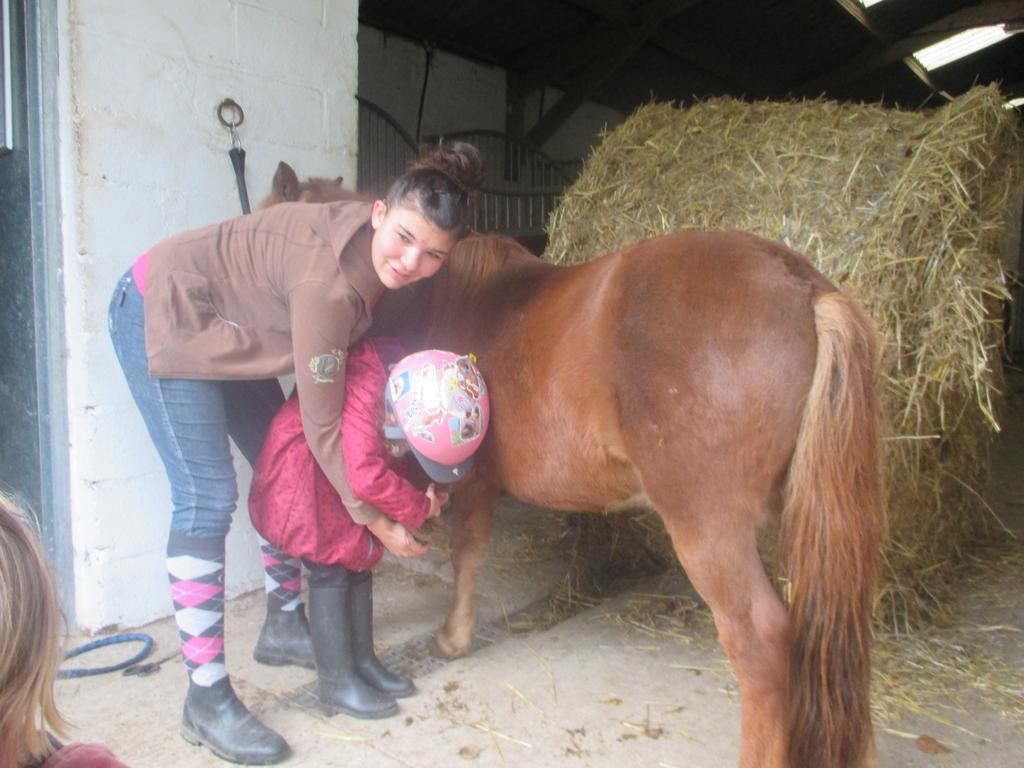 Gite Et Relais Equestre De Marie Tours-en-Vimeu Exteriör bild
