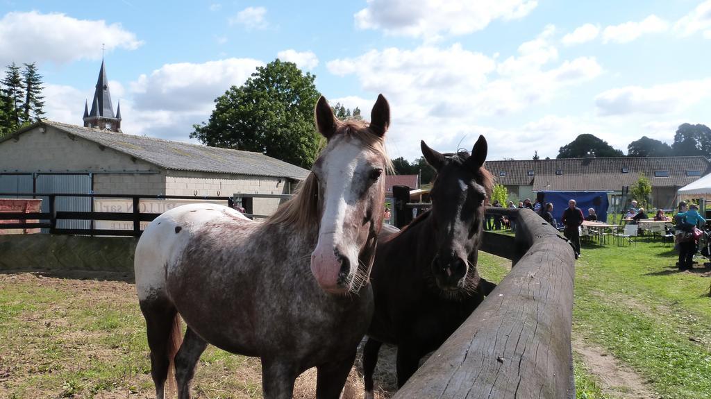 Gite Et Relais Equestre De Marie Tours-en-Vimeu Rum bild