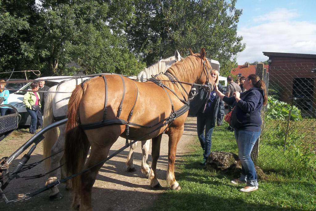Gite Et Relais Equestre De Marie Tours-en-Vimeu Rum bild
