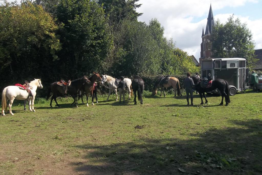 Gite Et Relais Equestre De Marie Tours-en-Vimeu Exteriör bild