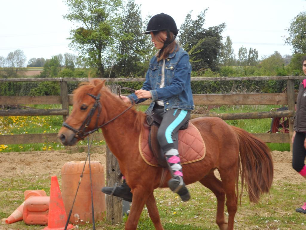 Gite Et Relais Equestre De Marie Tours-en-Vimeu Rum bild