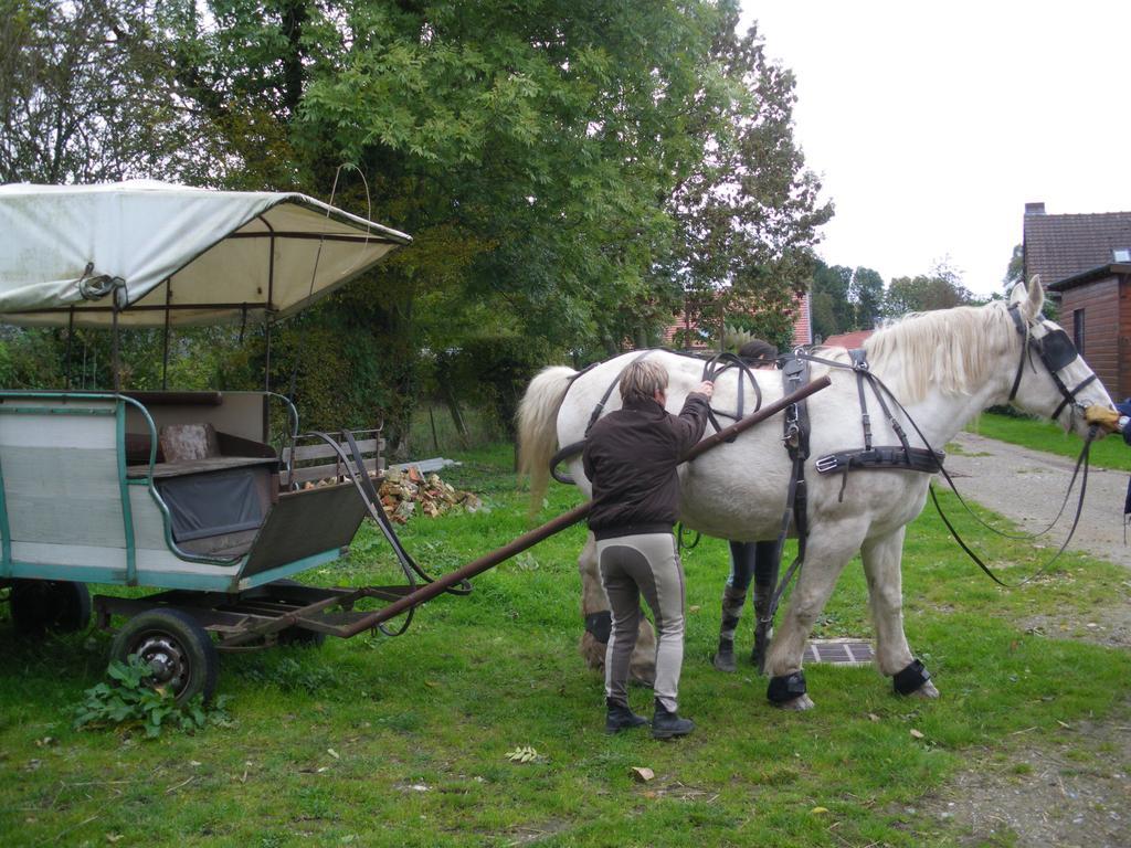 Gite Et Relais Equestre De Marie Tours-en-Vimeu Rum bild