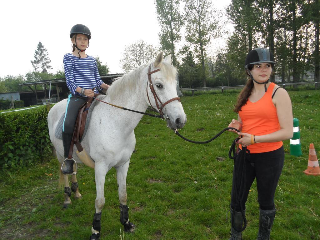 Gite Et Relais Equestre De Marie Tours-en-Vimeu Rum bild