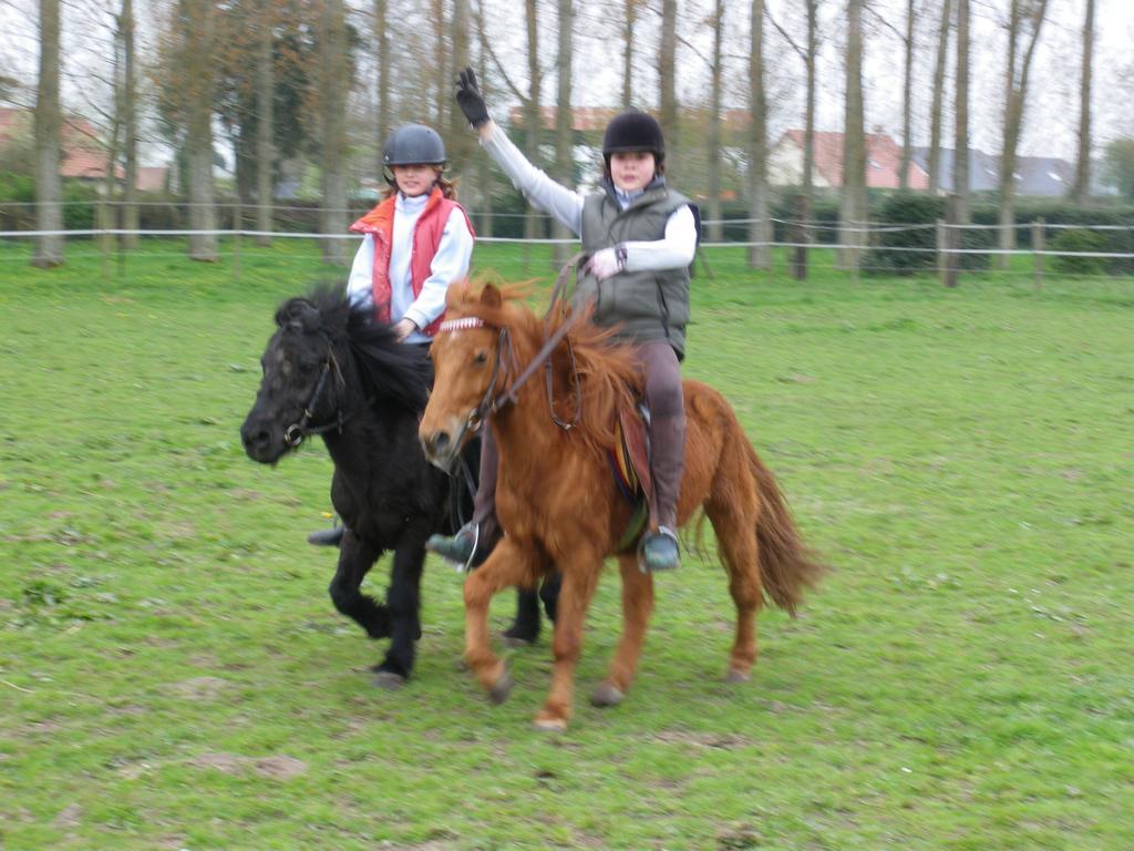 Gite Et Relais Equestre De Marie Tours-en-Vimeu Rum bild