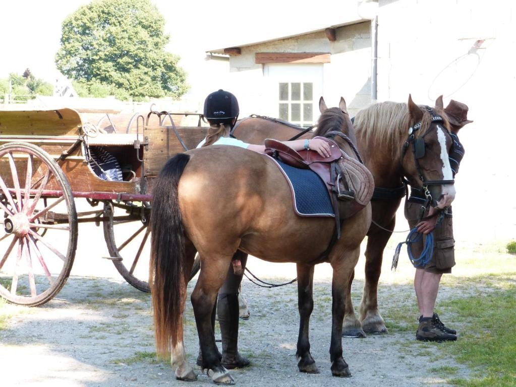 Gite Et Relais Equestre De Marie Tours-en-Vimeu Rum bild