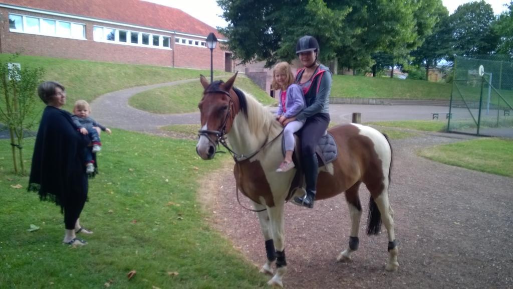 Gite Et Relais Equestre De Marie Tours-en-Vimeu Exteriör bild